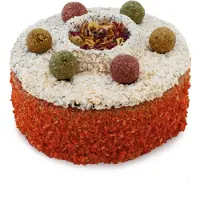 Jr Farm DURABLE CAKE - gâteau sans céréales pour tous les perroquets 200g