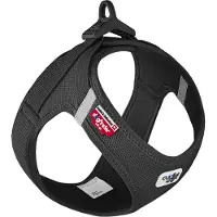 Curli Clasp Vest Harnais Air-Mesh Special E. 2022 Noir M