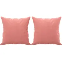 vidaXL Coussins décoratifs lot de 2 Rose 40x40 cm Velours