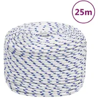 vidaXL Corde de bateau Blanc 6 mm 25 m Polypropylène