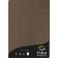 Pollen Etui de 50 feuilles A4 Marron Taupé 120g