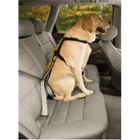 Kurgo Boucle de ceinture de sécurité pour chien (Chien, Fermeture de sécurité)
