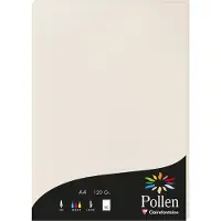 Pollen Clairefontaine Pollen - Gris perle - A4 (210 x 297 mm) - 120 g/m² - 50 feuille(s) papier coloré