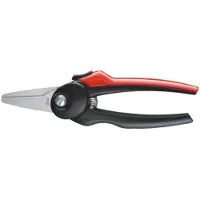Bessey D48-2 Scissors Argenté