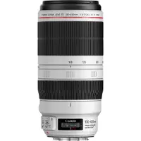Canon Objectif reflex EF 100-400mm f/4.5-5.6L IS II USM