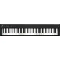 Korg D1 Noir