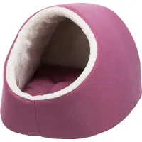 Trixie Grotte de Salva (Chien)
