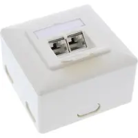 InLine Boîtier de prise murale Cat. 6A en saillie ou encastré 2x RJ45 femelle RAL9010 blanc vertical