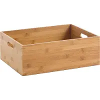Zeller Aufbewahrungskiste (30 cm, 17 l, 1x)