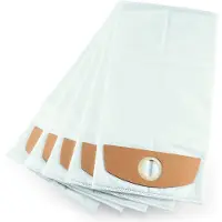 Flex Sac aspirateur pour V6 - 5 sacs - 487287