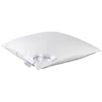 De Witte Lietaer Oreiller Dream - 60 x 70 cm - Garniture en polyester