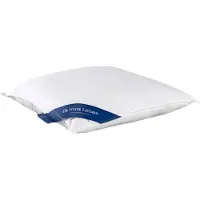 De Witte Lietaer Oreiller De Witte Lietaer Ducky Eendendons (60 x 70 cm)