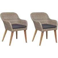 vidaXL Chaises de jardin avec coussins 2 pcs. Poly rotin brun