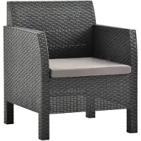 vidaXL Chaise de jardin avec coussin Anthracite 63x65x76 cm PP Rotin
