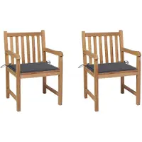 vidaXL Chaises de jardin 2 pcs avec coussins anthracite bois massif teck