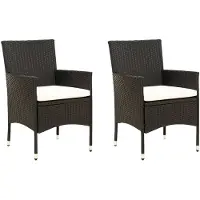 vidaXL Chaises de jardin avec coussins 2 pcs. Poly rotin noir