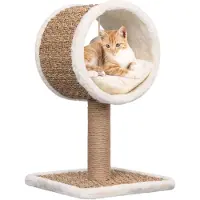 vidaXL Arbre à chat avec tunnel et jouets 56 cm Herbe de mer