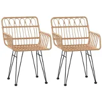 vidaXL Chaises de jardin 2 pcs. avec accoudoirs 56x64x80 cm rotin PE