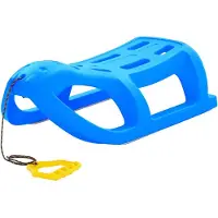 vidaXL Traîneau bleu 80x39,5x25,5 cm Polypropylène