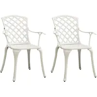 vidaXL Chaises de jardin 2 pcs. Fonte d'aluminium Blanc
