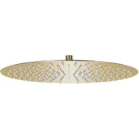 vidaXL Douche de pluie en acier inoxydable 40 cm ronde Golden