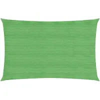 vidaXL Voile d'ombrage 160 g/m² Vert clair 2x5 m PEHD