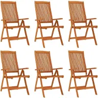 vidaXL Chaises de jardin pliantes 6 pcs. Bois massif d'eucalyptus