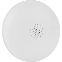 Smartwares Détecteur d'eau FWA-184, WLAN