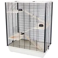 Interzoo Diego + Wood Harry + Wood Cage pour rongeurs 78 cm