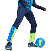 Puma Pantalon de sport 'IndividualCUP' bleu / bleu marine / vert fluo / blanc