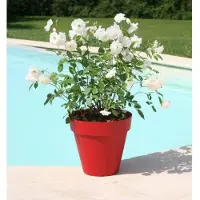 Riviera pot soleilla diametre 60 cm rouge