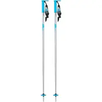 Line Wallischtick Poles Clair 110 cm