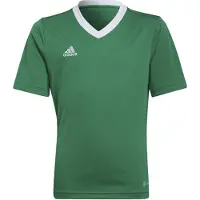 Adidas T-Shirt fonctionnel 'Entrada 22' vert gazon / blanc
