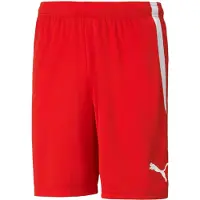 Puma Pantalon de sport 'TeamLiga' rouge / blanc