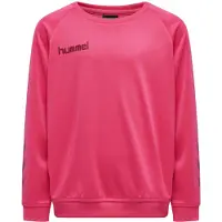Hummel Sweat de sport 'Poly' rose / rouge foncé