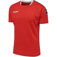 Hummel T-Shirt fonctionnel 'Authentic' gris basalte / rouge vif / noir / blanc