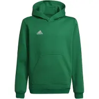Adidas Entrada 22 Hoodie Vert 5-6 Years Enfants