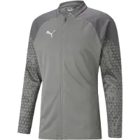 Puma teamCUP Training Jacket gray S