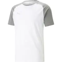 Puma T-Shirt fonctionnel 'Team Cup' gris chiné / blanc