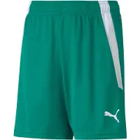 Puma Unisexe, Bas de sport, short teamLIGA Jr-704931 (128), Vert