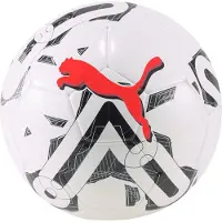 Puma 5