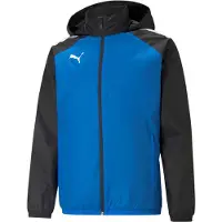Puma Veste de sport 'TeamLiga' bleu / noir