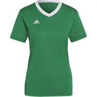 Adidas Maillot 'Entrada 22' vert / blanc