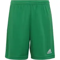 Adidas Garçons, Bas de sport, Šortai vaikams Entrada 22 žalia IC7410 (116cm) (116), Vert
