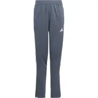Adidas Tiro23 L Pants Bleu 9-10 Years Enfants