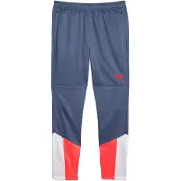 Puma Pantalon De Survêtement Individual Cup Training