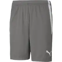 Puma Pantalon de sport 'TeamLiga' gris clair / gris foncé