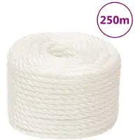 vidaXL Corde de travail Blanc 10 mm 250 m polypropylène
