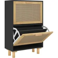 vidaXL Armoire à chaussures Noir 52x25x80 cm Bois d'ingénierie/rotin
