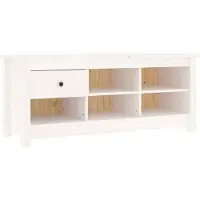 vidaXL Armoire à chaussures Blanc 110x38x45,5 cm Bois de pin massif